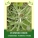 Cudweed Herb